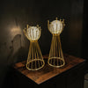 Golden Orb Dekoratif Obje Seti – Cam Küre Detaylı Modern Lüks Salon Aksesuarı (İkili)& Sleep Nova